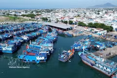Fishing boats in Vietnam's Ninh Thuan province. (Illustrative photo: VNA)