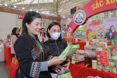 The booth of Lang Son province brings about distinctive local products to the fair, and also implemented various promotional programmes to stimulate consumer demand (Photo: VNA)