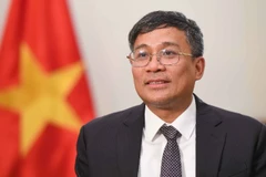 Permanent Deputy Minister of Foreign Affairs Nguyen Minh Vu (Photo: VNA)