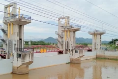 An Giang province closes the Tra Su Sluice to block flooding, helping downstream farmers complete harvest of their summer-autumn rice and begin sowing the autumn-winter crop on schedule. (Photo: VNA)