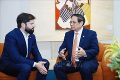 Prime Minister Pham Minh Chinh (R) meets with Chilean President Gabriel Boric Font in Rio de Janeiro on July 7 (Photo: VNA)