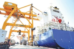 Import and export activities at Hai Phong Port (Photo: nhandan.vn)