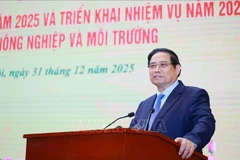Prime Minister Pham Minh Chinh addresses the conference on December 31. (Photo: VNA)