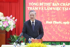 Party General Secretary To Lam addresses the working session (Photo: VNA)