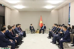 PM Pham Minh Chinh (right, centre) and delegates at the working session. (Photo: VNA)