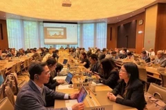 At a WTO committee's meeting (Photo: VNA)