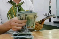 The daily reference exchange rate for the US dollar is set at 24,847 VND/USD on March 25. (Photo: VNA)