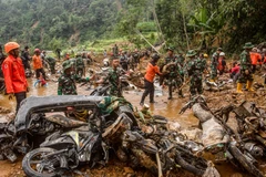 Indonesia searches for 19 missing following gold mine landslide