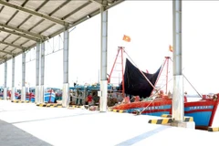 Ships dock at Ninh Co port (Photo: VNA)