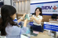 Many banks in Vietnam promote green credit for sustainable growth. (Photo: VNA)