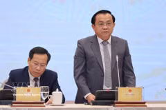Deputy Minister of Finance Le Tan Can speaks at the press briefing (Photo: VNA)