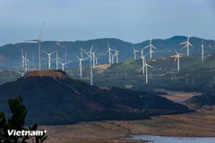 Enterprises expressed a desire for flexible internal quota coordination mechanisms, along with the early operation of a transparent carbon credit market. (Illustrative photo: VNA)