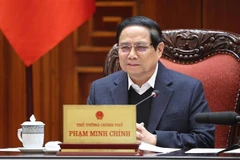 Prime Minister Pham Minh Chinh addresses the meeting (Photo: VNA)