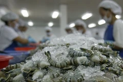 Processing shrimp for export at a factory in Vietnam. (Photo: kinhtenongthon.com.vn)