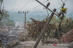 Illustration: an electricity pole damaged by the eruption of Mount Semeru in Supiturang Village, Pronojiwo, Lumajang, East Java, on November 23. (Photo: ANTARA)