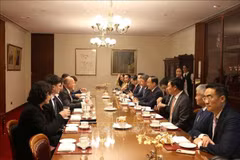The meeting with the Hanoi delegation and Rodney John Roberts, Deputy President of the New South Wales Legislative Council. (Photo: VNA)