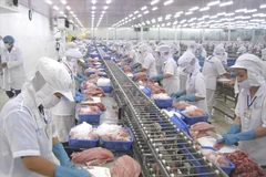 Seafood processing for export. (Photo: VietnamPlus)