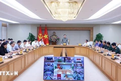 Deputy PM Tran Hong Ha speaks at the meeting. (Photo: VNA)