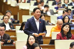 Tran Quoc Nam, Chairman of the Ninh Thuan provincial People's Committee and head of the provincial delegation of NA deputies, speaks in a debate at the hall on February 17. (Photo: VNA)