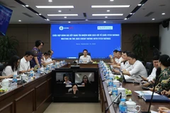 Nguyen Duc Thien, General Director of Vietnam Electricity (EVN)’s Northern Power Corporation (centre), chairs the working session with credit rating organisation Fitch Ratings (Photo: npc.com.vn)