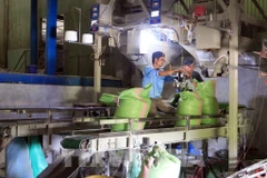 Illustrative image (Photo: VNA)