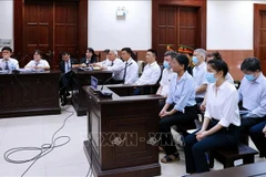 An overview of the appellate hearing, which opens on May 6 (Photo: VNA)