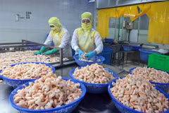 Shrimp processing for export at Huy Nam company, An Giang province. (Photo: VNA)