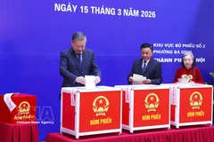 Party General Secretary To Lam (first, left) casts his ballot to elect deputies to the 16th National Assembly and People’s Councils at all levels for the 2026-2031 tenure on March 15. (Photo: VNA)
