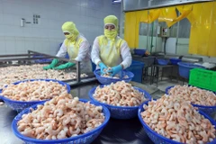 Shrimp processing for export at Huy Nam company, An Giang province. (Photo: VNA)