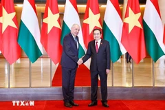 On the afternoon of May 28, 2025, Vietnamese National Assembly Chairman Tran Thanh Man (R) had a meeting with Hungarian President Sulyok Tamas during the latter’s official visit to Vietnam. (Photo: VNA)