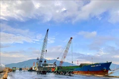 Loading and unloading goods at Vung Ang Port. (Photo: VNA)