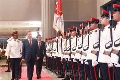 General Secretary of the Communist Party of Vietnam's Central Committee To Lam (first) and Singaporean Prime Minister and People's Action Party's Secretary-General Lawrence Wong review the guard of honour during the former's official visit to Singapore. (Photo: VNA)