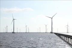 An offshore wind power plant in the Mekong Delta (Photo: VNA)
