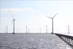 An offshore wind power plant in the Mekong Delta (Photo: VNA)