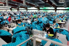 Workers produce garments for export to the US and the EU at the Maxport Thai Binh apparel company (Photo: VNA)