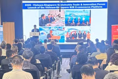 The Vietnam – Singapore business networking programme held in Singapore on April 17. (Photo: VNA)