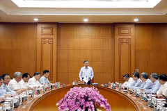 At a working session with Vinacomin (Photo: VNA)