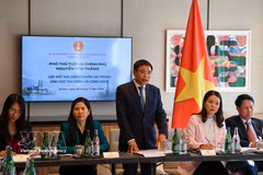 Deputy Prime Minister Nguyen Van Thang speaks at a meeting with Vietnamese experts in finance and technology in Switherland. (Photo: VNA)