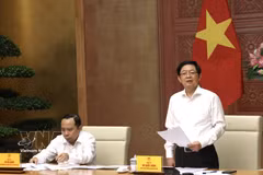 Deputy Prime Minister Ho Quoc Dung speaks at the meeting. (Photo: VNA)