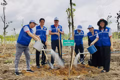 Ho Chi Minh City officials and residents plant a tree at Lang Le Cultural Park in Binh Loi commune on May 19, 2026. (Photo: VNA)