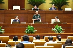Minister of National Defence General Phan Van Giang addresses the event, clarifies key issues raised by deputies. (Photo: VNA)