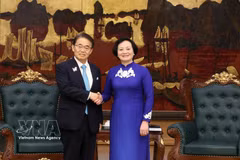 Deputy Prime Minister Pham Thi Thanh Tra (R) meets with Governor of Japan's Aichi prefecture Omura Hideaki in Hanoi on July 10, 2026. (Photo: VNA)