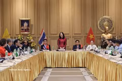 Deputy Minister of Foreign Affairs Le Thi Thu Hang has a working session with Vietnamese associations in Udon Thani province, northeastern Thailand, on July 16. (Photo: VNA)