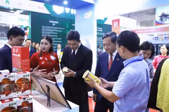 Vietnamese Ambassador to Laos Nguyen Minh Tam and Lao Deputy Minister of Industry and Commerce Phouthavanh Nanthavong visit the Vietnamese pavilion at VIETLAO EXPO 2026 (Photo: VNA)