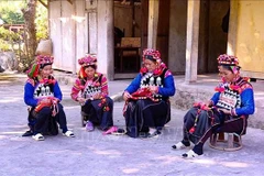 Almost Ha Nhi ethnic women know how to make embroidery (Photo: VNA)