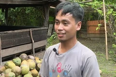 Philippine coconut growers face big challenges