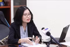 Sokmom Nimul, Director General of Cambodia's national news agency AKP in an interview with VNA correspondents in Phnom Penh. (Photo: VNA)