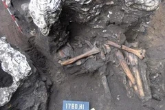 A grave excavated in the Bau Du site in Quang Nam province in 2017 (Source: Southern Institute of Social Sciences)