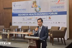 Dr. Nguyen Phuc Nam, Deputy Director of the MoIT’s Department of International Market Development speaks at the forum. (Photo: VNA)