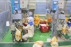 Workers package rice for export at the Thao Son food factory, a subsidiary of Loc Troi Group JSC. (Photo: VNA)